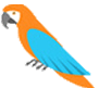 Wild Bird