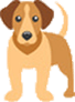 For dogs