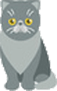 Wet food